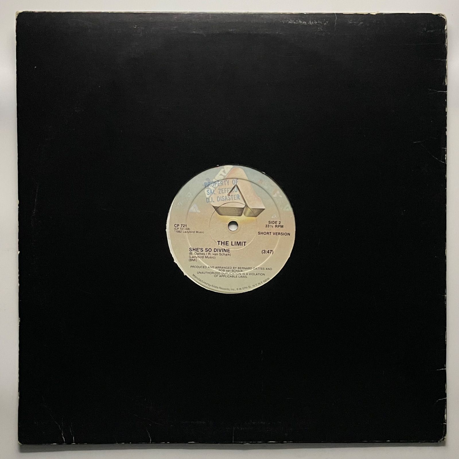 新品未使用WE'LL DIE THIS WAY 12\" Skaaiレコード WENOD RECORDS : Skaai - WE'LL DIE THIS WAY [12