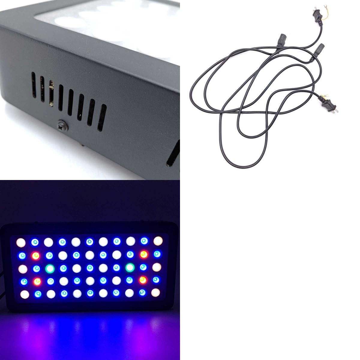ブラックボックス LED ライト 海水魚　他おまけ付き ブラックボックス LED ライト 海水魚 サンゴ 水槽用