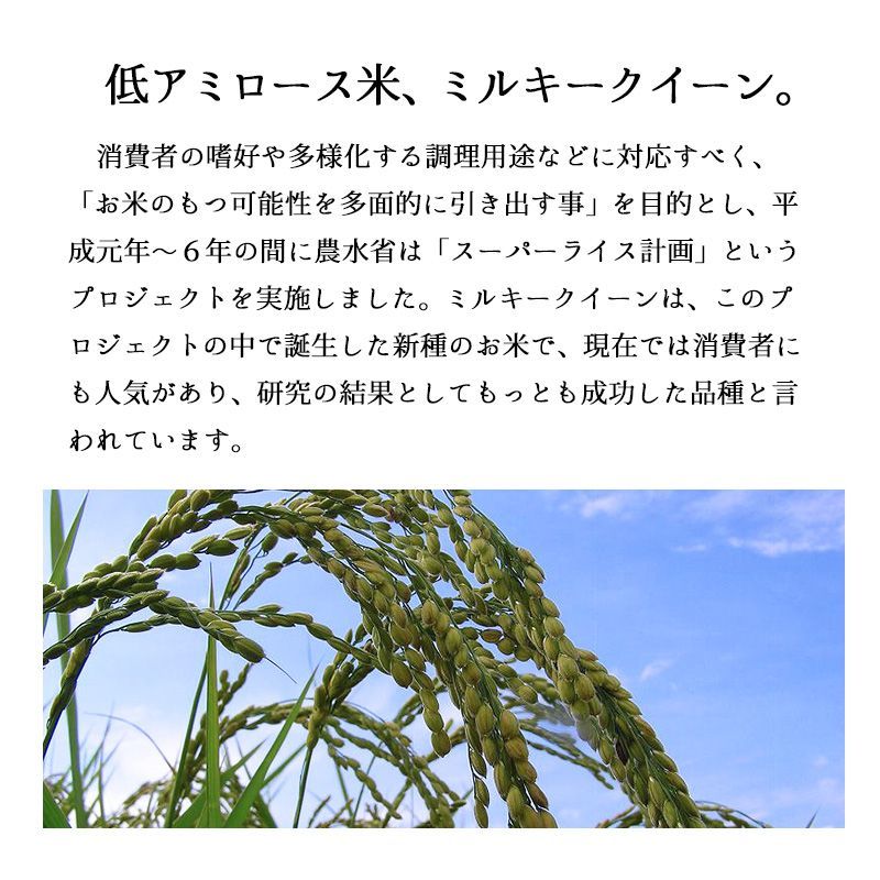 新米 新潟県産ミルキークイーン5kg お米 令和6年産 白米