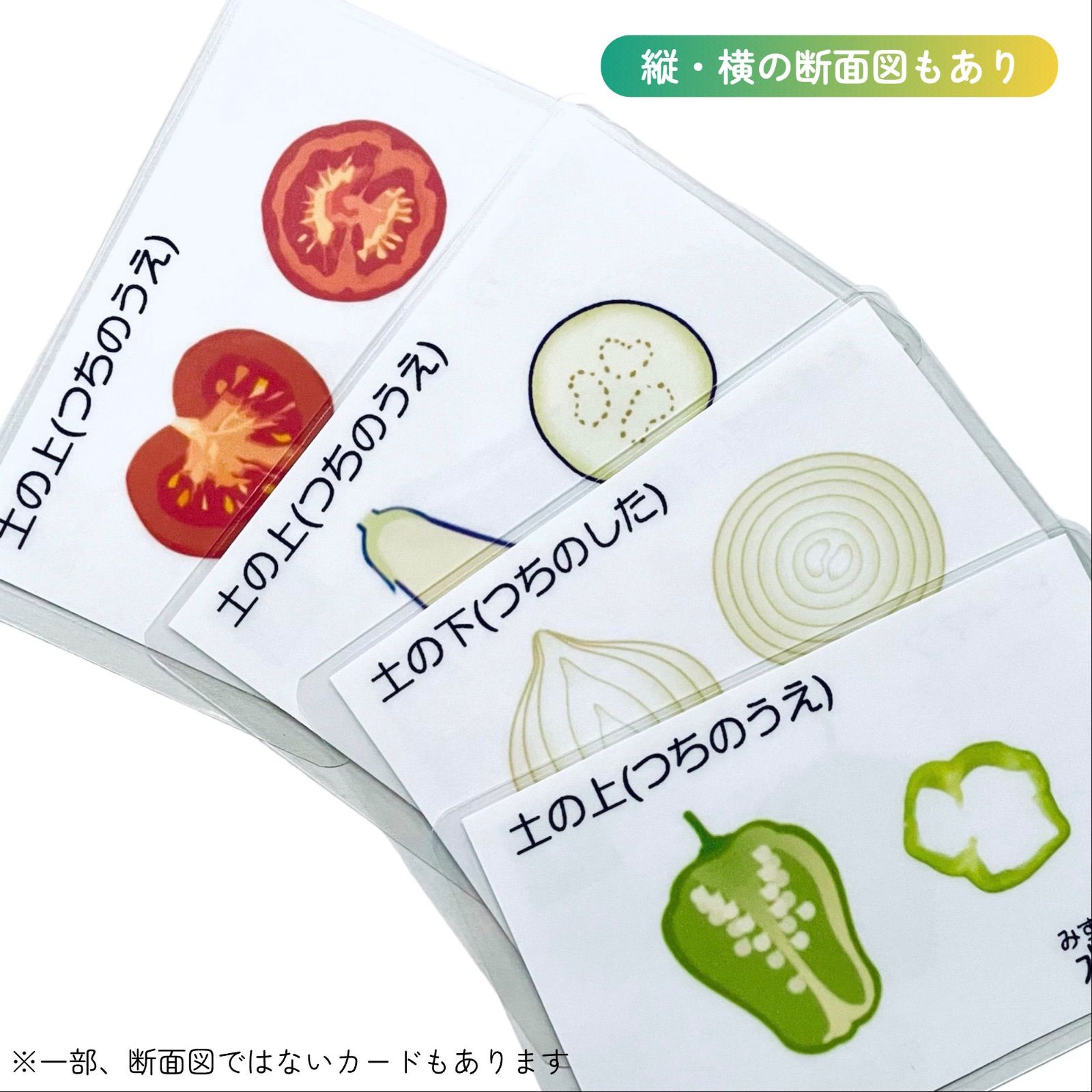 【完成品】野菜・果物カード　小学校受験教材　理科的常識　幼児教育　知育　断面図 完成品】野菜・果物カード 小学校受験教材 理科的常識 幼児教育