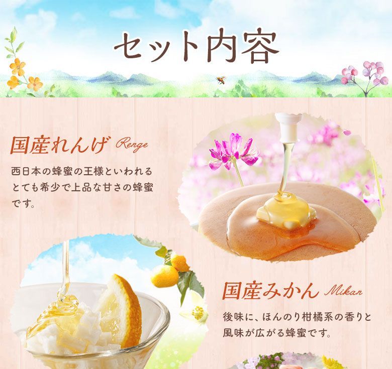 はちみつ お試しセット 90g×5（エコパック）はちみつ専門店 かの蜂 【公式】-1