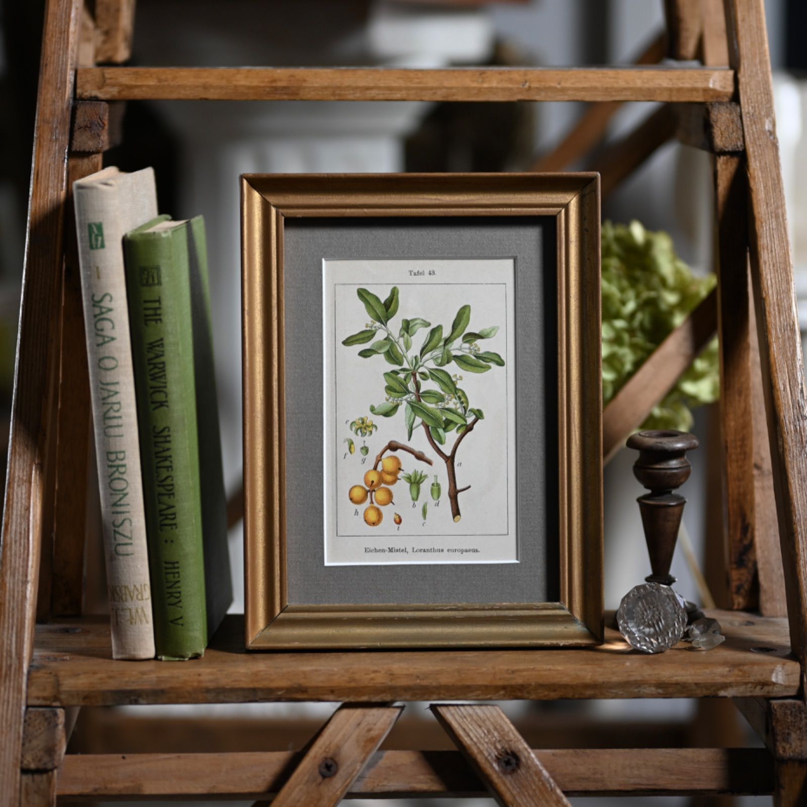 【希少】初版 Flower Fairies お花の妖精 洋書 古書 希少】初版Flower Fairies 道端の花の妖精 洋書 古書 【希少】初版