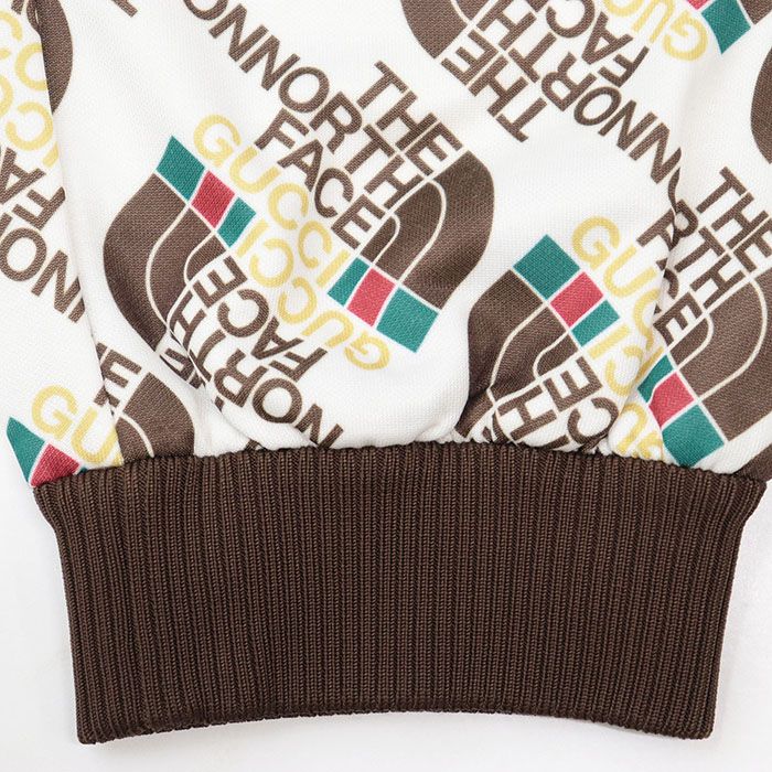 極美品】GUCCI × THE NORTH FACE グッチ × ザ・ノース・フェイス  