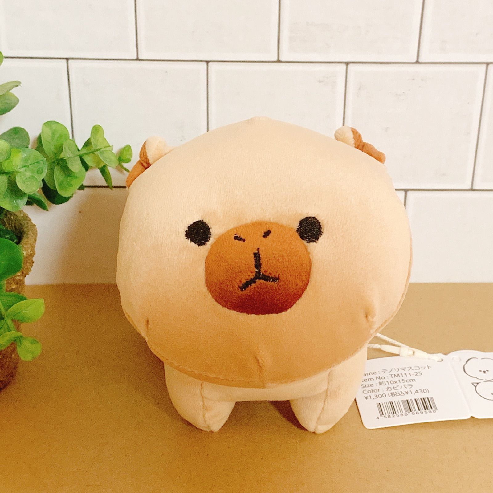 カピバラ テノリマスコット かぴばら ぬいぐるみ 小さい 可愛い