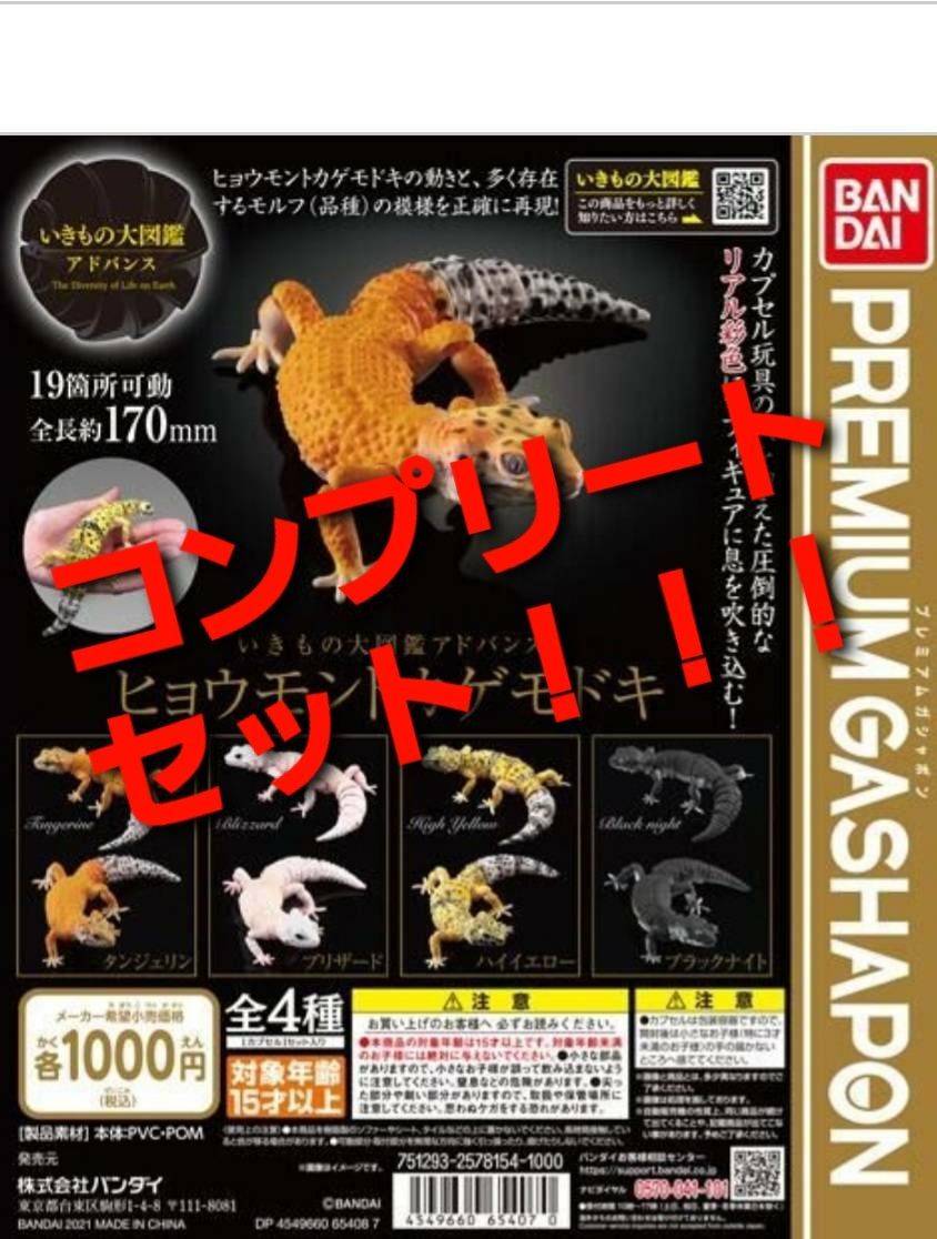 Amazon | いきもの大図鑑アドバンス ヒョウモントカゲモドキ [全