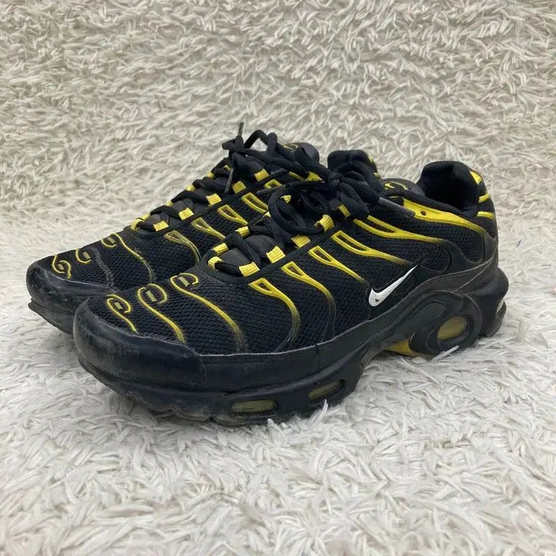255 NIKE NIKE ナイキ エアマックス プラス スニーカー