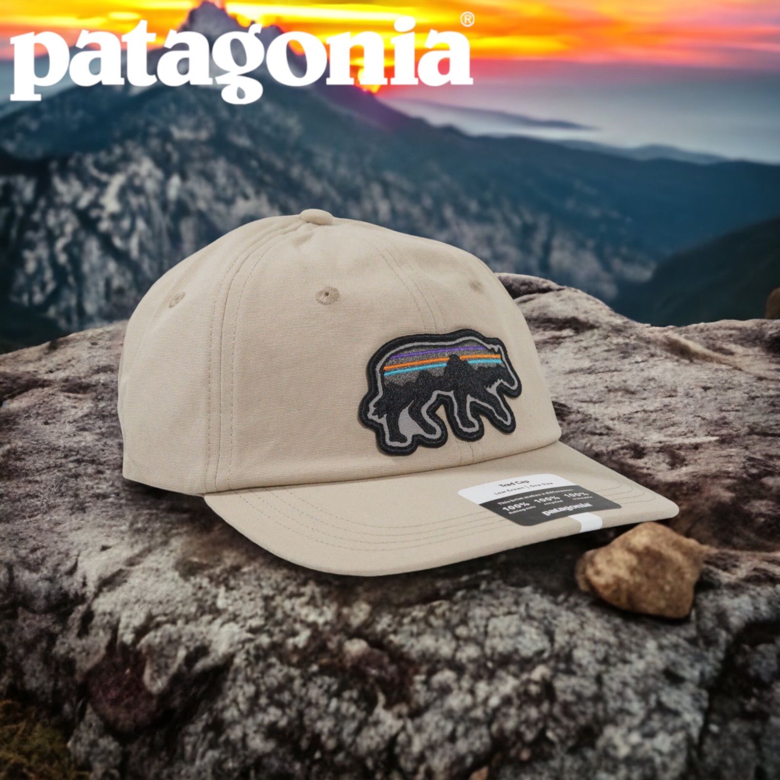 ◇日本未発売◇廃盤 PATAGONIA FITZ ROY BACK FOR GOOD TRAD CAP ウルフ トラッドキャップ タンカラー -  メルカリ