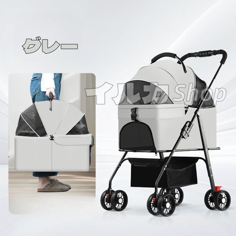 小型犬 中型犬