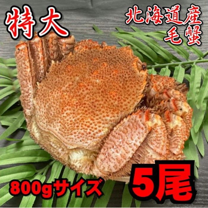 毛がに　冷凍　約800～900g　5尾セット　ボイル　メルカリ　特大！】北海道産　毛蟹