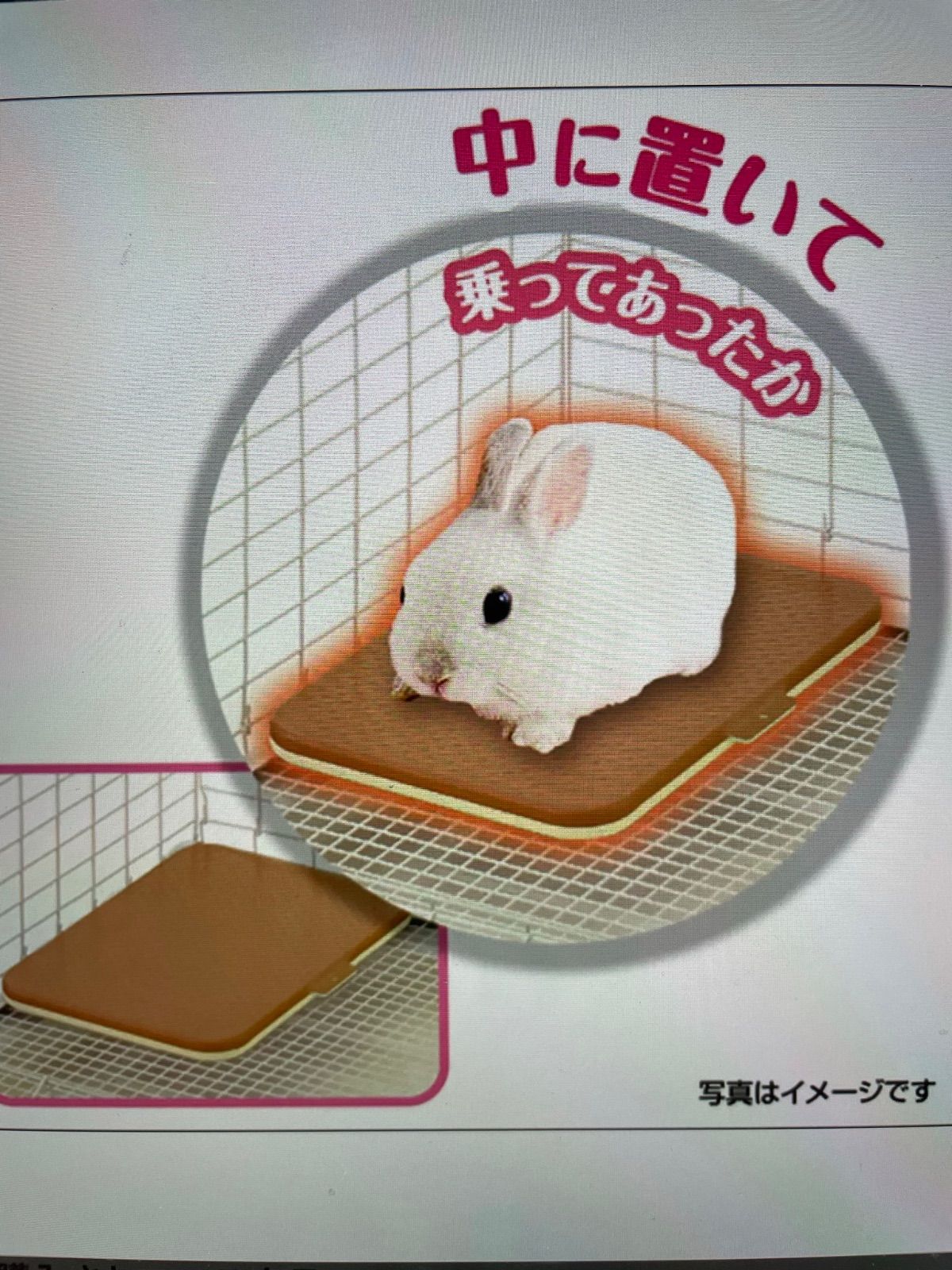 新品・未使用✨小動物ヒーター☘Mサイズフック付き☘ - メルカリ