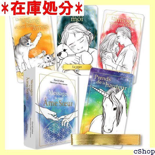 ソウルメイトからのメッセージ オラクルカードの意味 日本語 カード 占い 250 Amazon.co.jp: 【正規品】ソウルメイトからのメッセージ