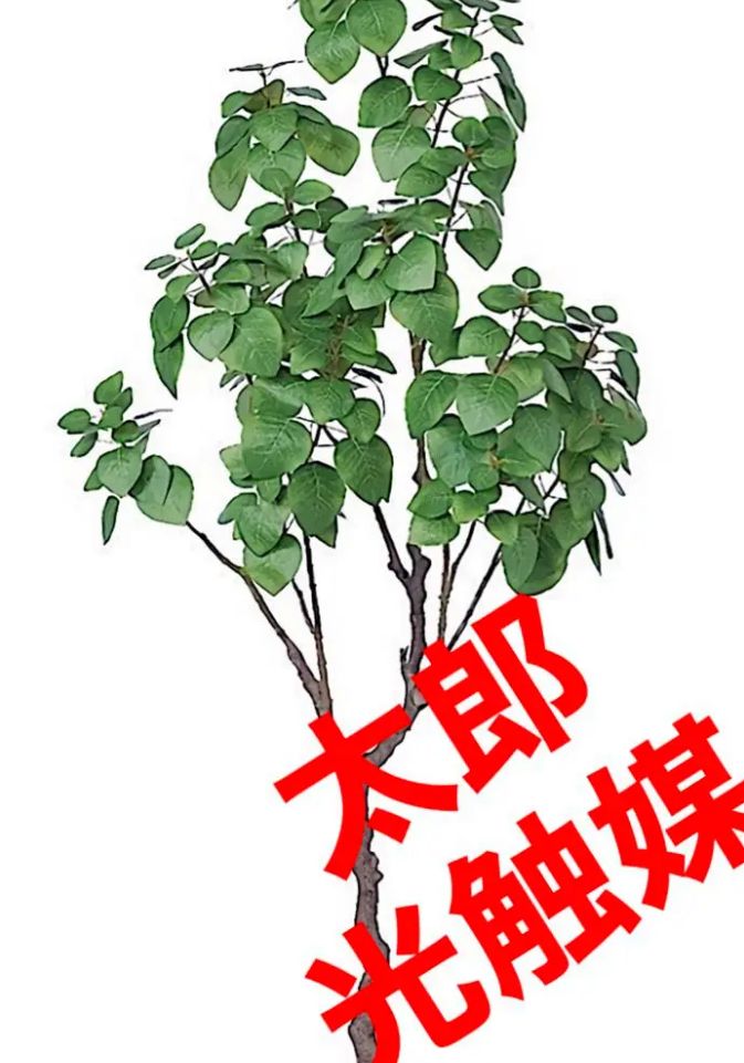 光触媒 人工観葉植物 ウォールグリーン フェイク フラワー スモーク 