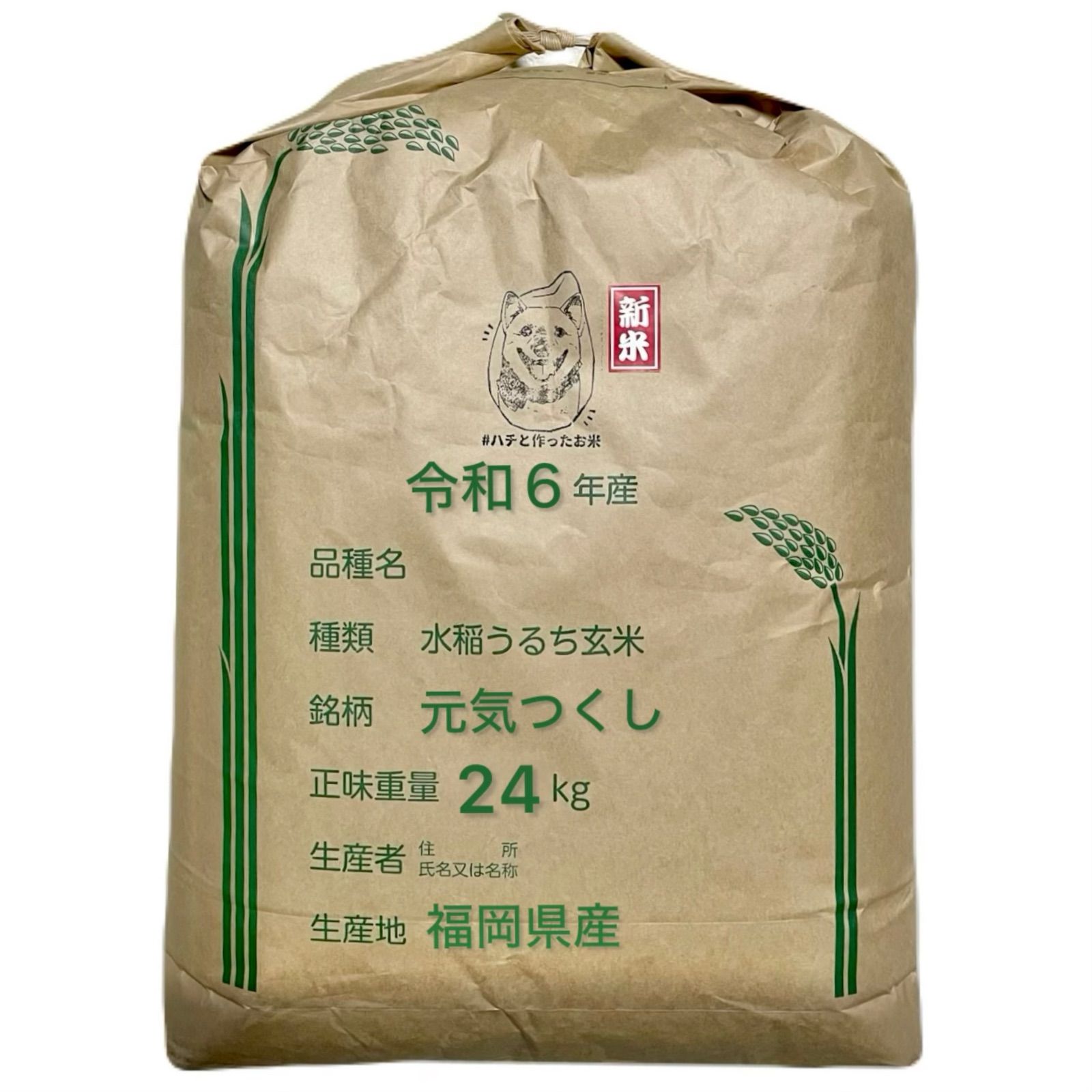 福岡県産 元気つくし 24kg 福岡県産 元気つくし 24kg