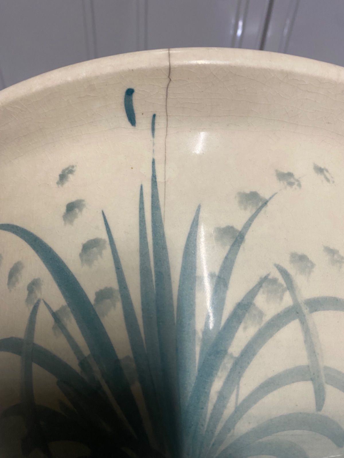 睡蓮鉢