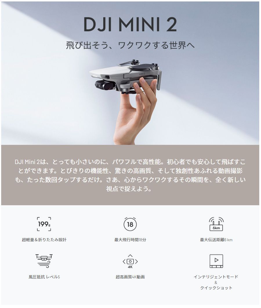 DJI Mavic Mini2 4Kカメラ付き 【賠償責任保険付】 - tsmobile - メルカリ