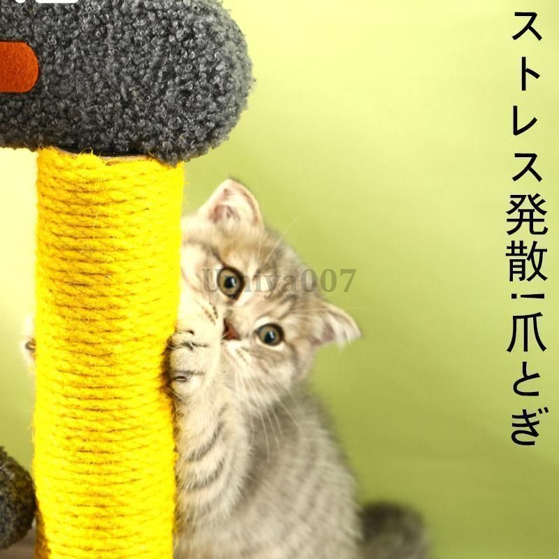 おしゃれ