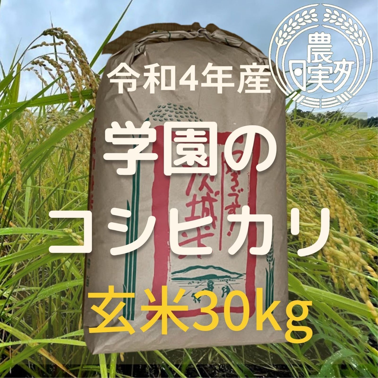 農業学校の【コシヒカリ】玄米30kg　令和4年産新米　お米　コシヒカリ30キロ-0