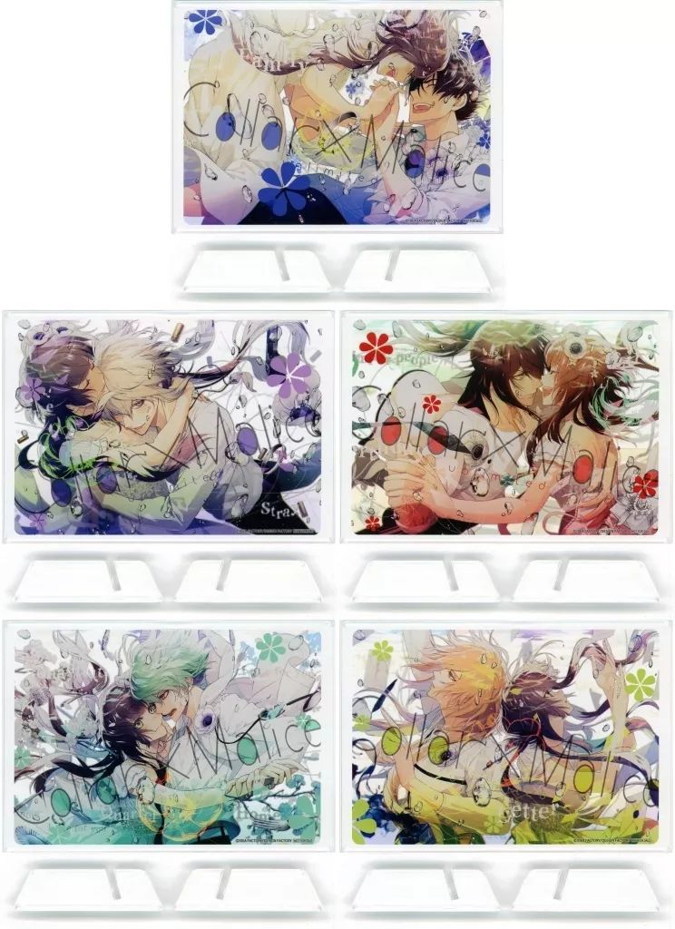 カラマリ オトスト 缶バッジ アクキー〖市香〗セット 星野 市 香