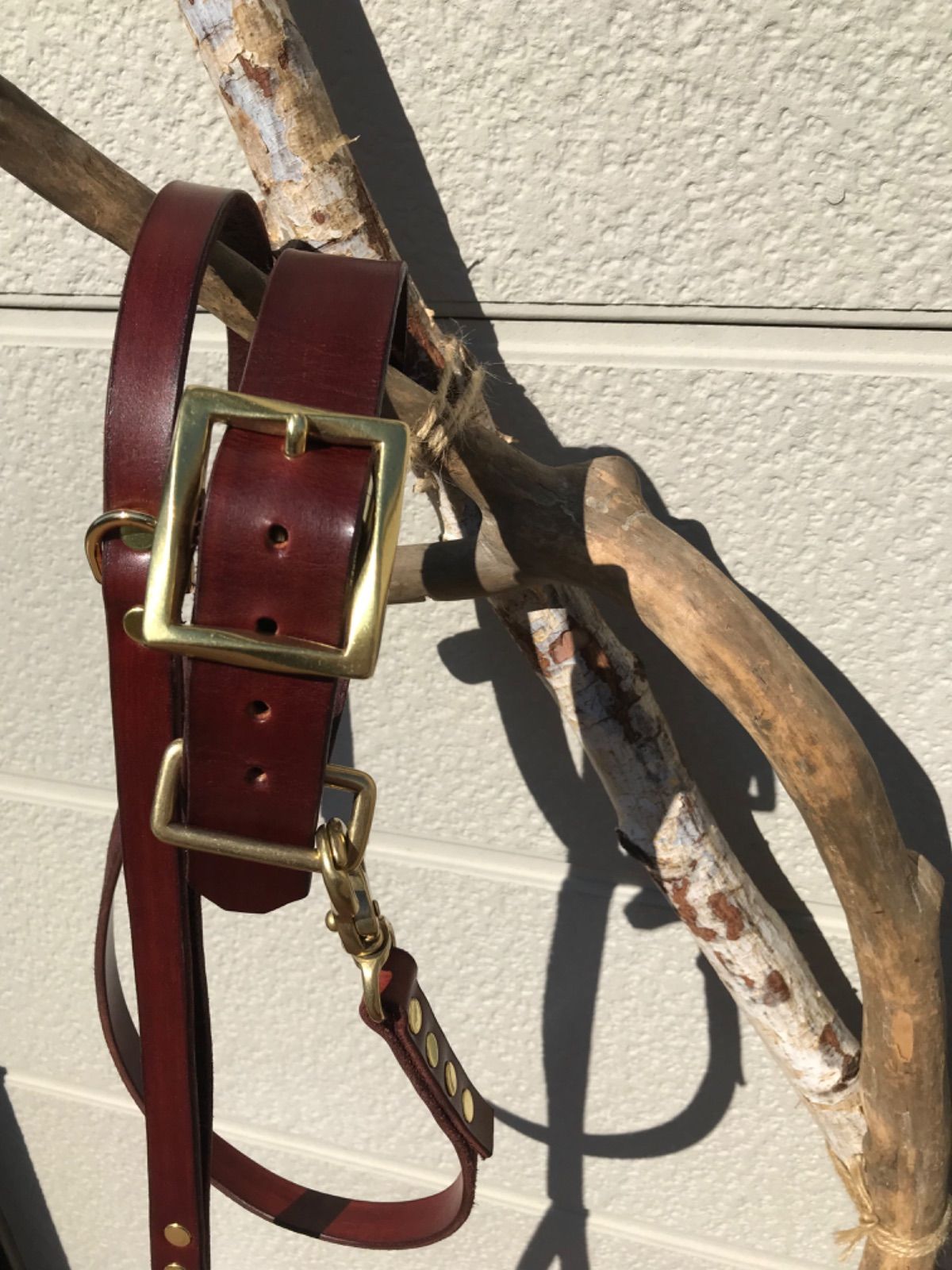 ラティーゴレザーリード&首輪マホガニー ラティーゴレザーリード&首輪マホガニー