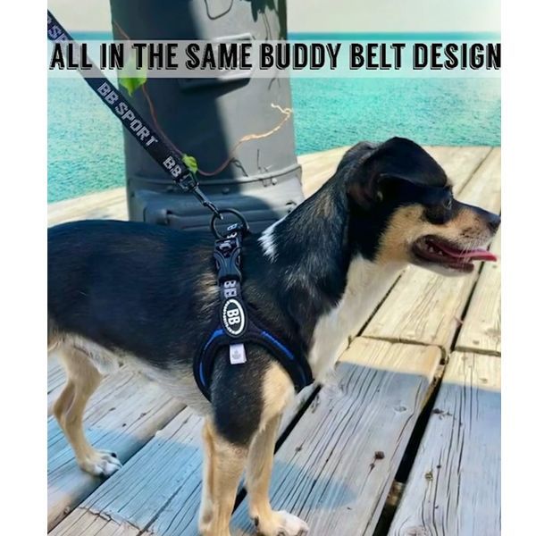 バディーベルト BBスポーツハーネス 4号 小型犬 ペット BUDDYBELT バディベルト 犬用 胴輪 リングハーネス メガネハーネス ボディベルト  バディーベルト正規輸入代理店 正規店 犬の首や気管に優しい究極のハーネス 簡単装着 獣医師推奨 - メルカリ