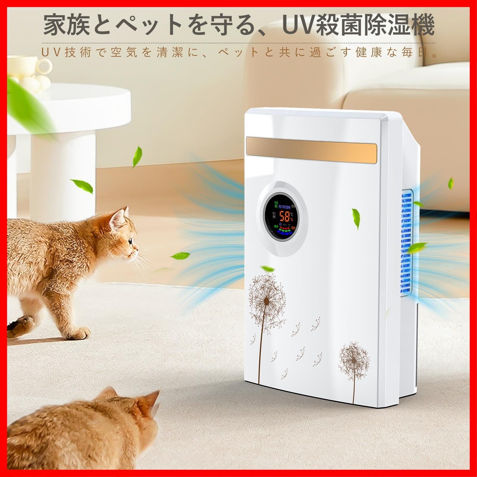 コンパクト