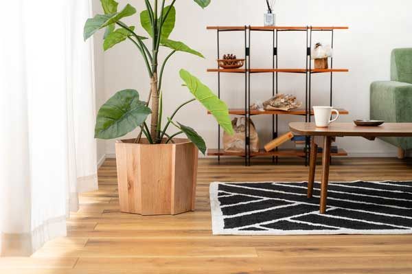 No.823 ナチュラル