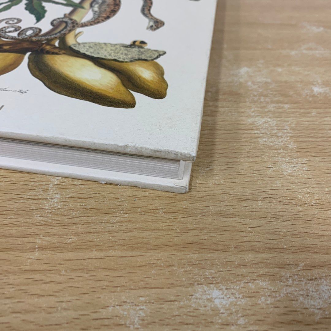 ▲01)【同梱不可】Insects of Surinam/Die Insekten Surinams/スリナムの昆虫/洋書/デザイン/Taschen/A 01)【同梱不可】Insects of Surinam/Die Insekten Surinams