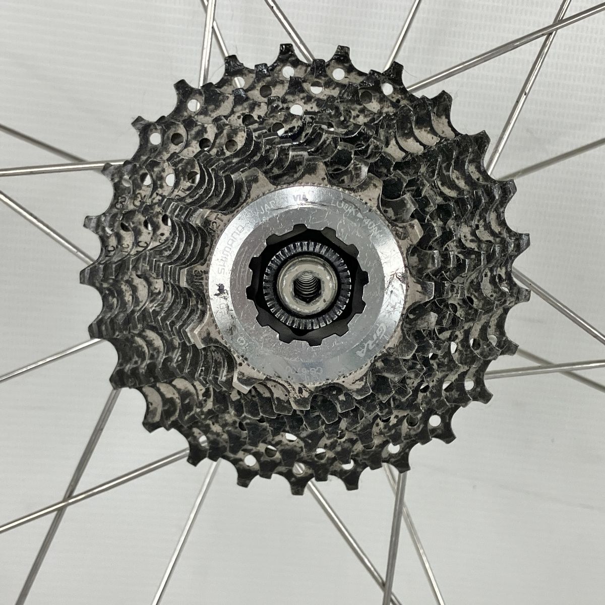 ホイール リアのみ