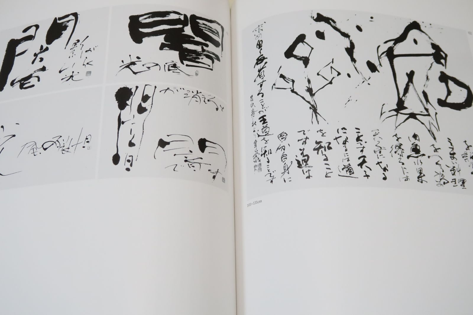 金子卓義の書/父金子鴎亭に師事/20代後半からの作品に絞り第27回毎日