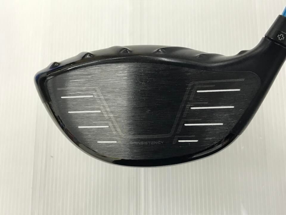 GOLDHORN DSP 406 本体 GOLDHRON 2024 by es corporation - Issuu