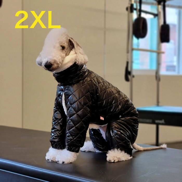 森下直哉さん着用 nastoys ハンティングベスト&イージーパンツセット