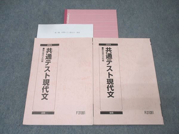 駿台 共通テスト現代文 テキスト通年セット 2024 計2冊 025S0D