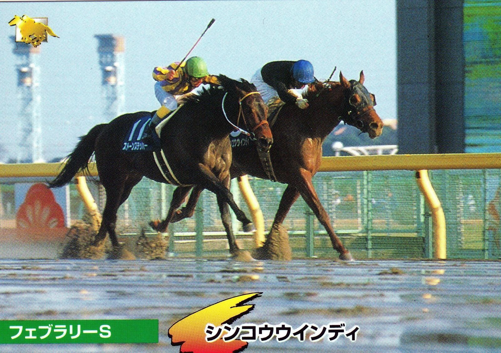 シンコウウインディ：第14回 フェブラリーステークス