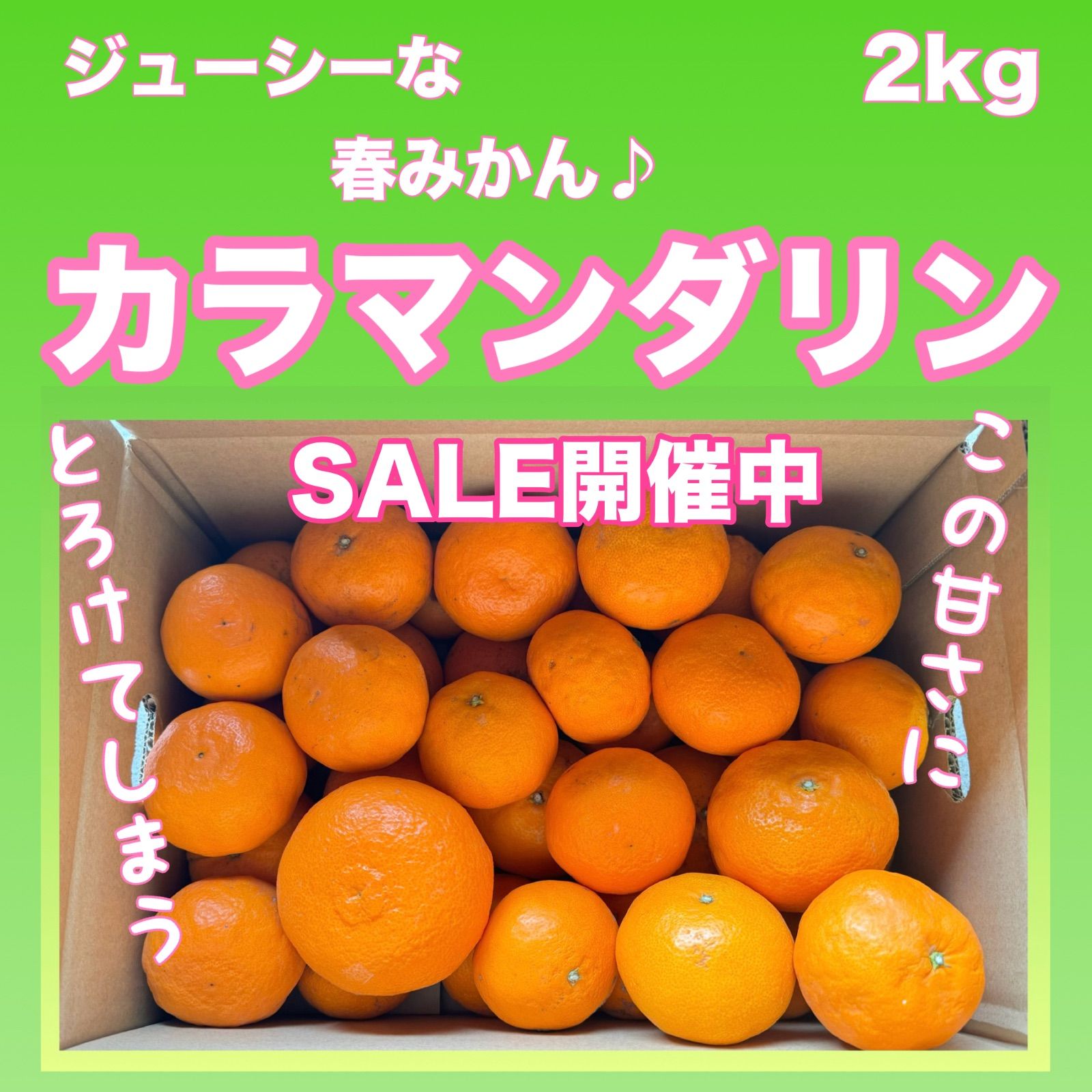 春のみかん カラマンダリン 2kg 和歌山県有田産 農家直送