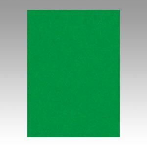 （まとめ） 色画用紙 文運堂 ニューカラーＲ 緑 10-321 4902681813213 1本【×8セット】 15,700円
