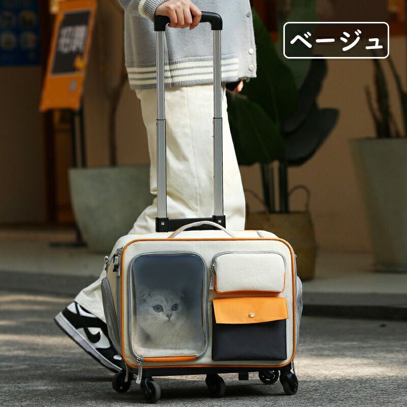 メッシュ