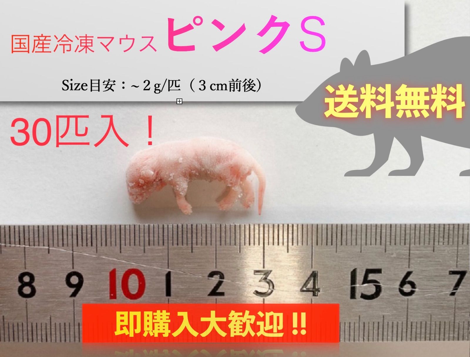 送料無料】国産冷凍ピンクマウスS 30匹入@即購入OK！北海道・沖縄の方