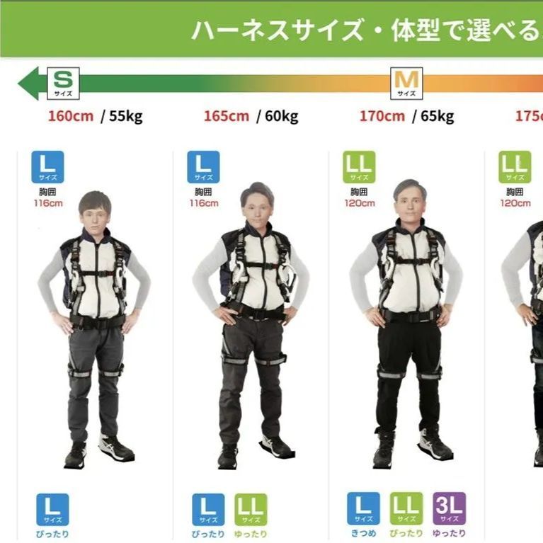 昨シーズンモデル