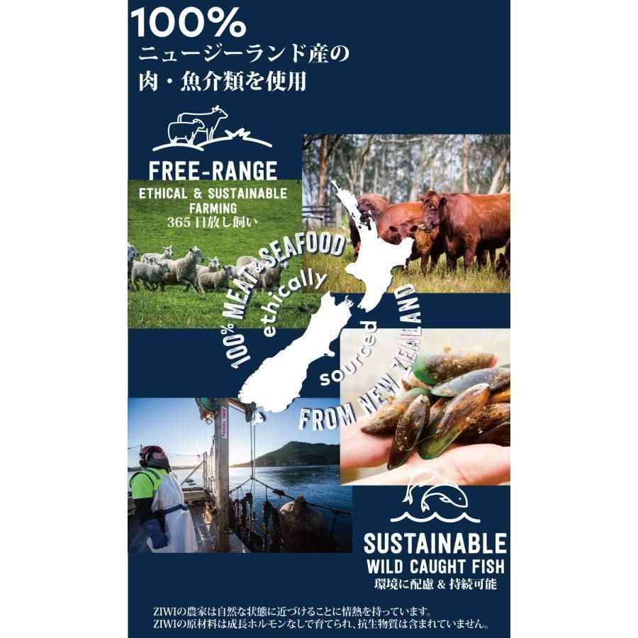 ラム