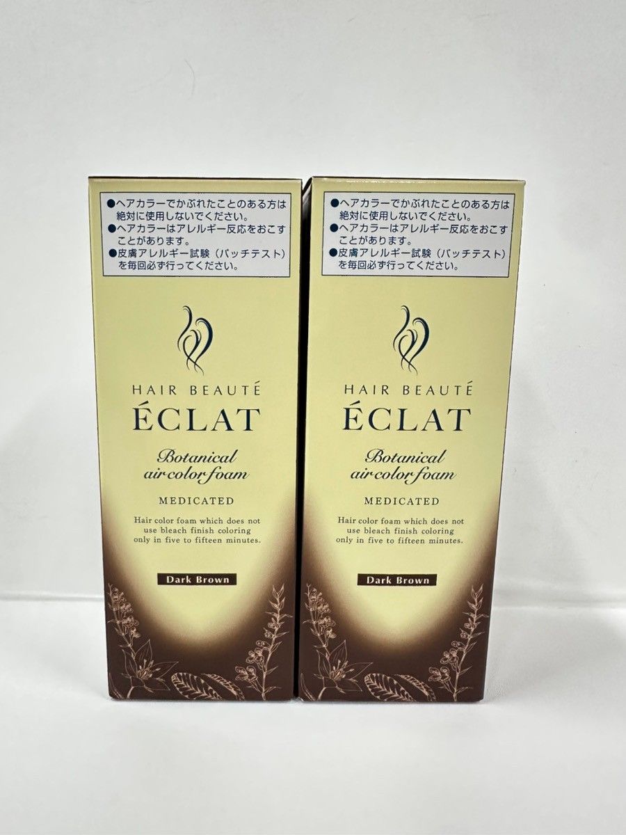 【12/13値下げ】ボタニカルエアカラーフォームEX　ダークブラウン　2個 ヘアボーテ エクラ ボタニカルエアカラーフォームEX ダーク