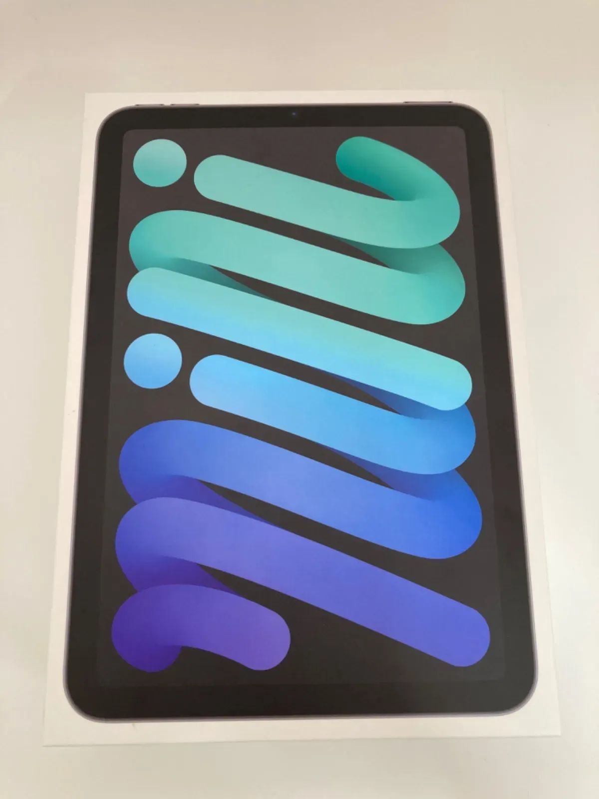 iPadmini 第6世代 Wi-Fi+Cellular スペースグレイ 【公式通販】