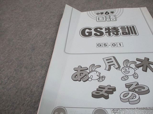 SAPIX サピックス 小6 国語 GS特訓 GS-01〜06 2024年度版 計6冊 027S2D SAPIX サピックス 小6 国語 GS特訓 GS-01～06 2024年度版 計6冊