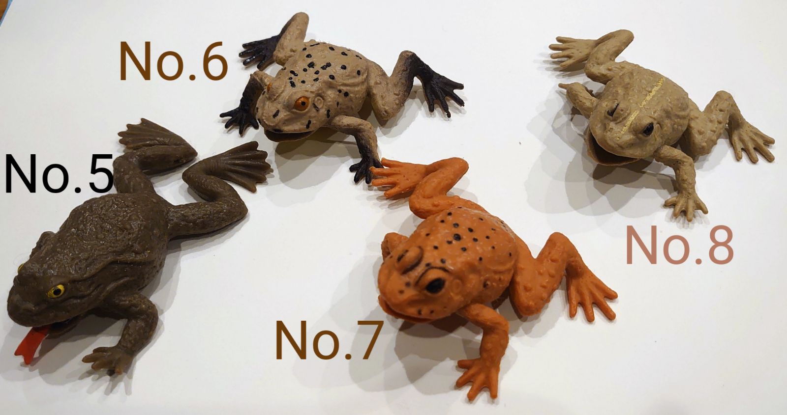 カエルアンドコー (イグアナ 恐竜 シャーク アンドコー &co.) ① カエルアンドコー (イグアナ 恐竜 シャーク アンドコー &co.) ①