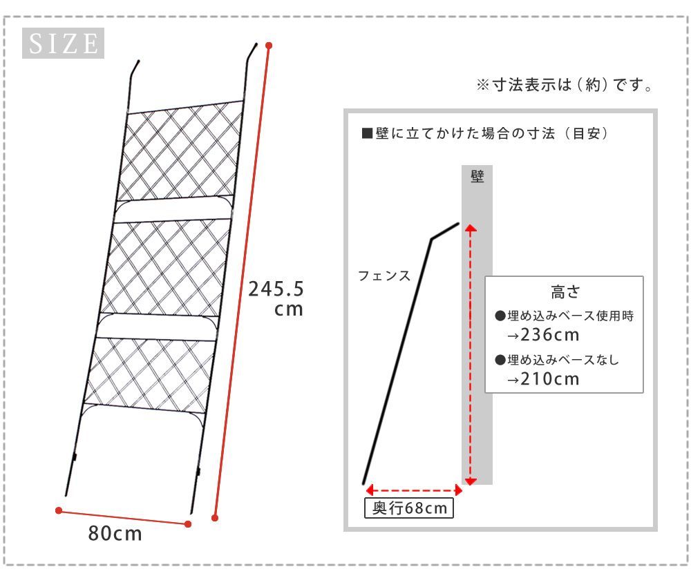 ゴーヤ 薔薇
