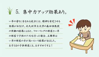 掛川織 い草カーペット