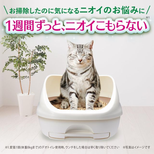 60枚