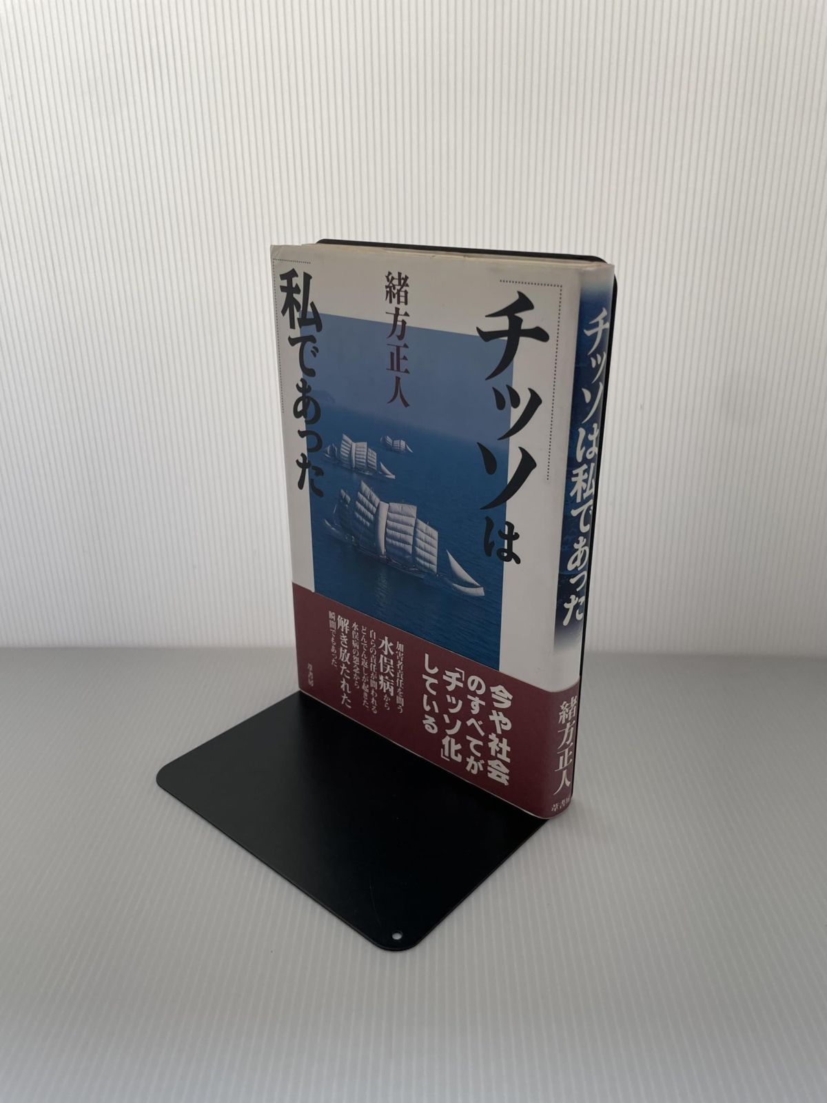 大得価，高品質 チッソは私であった その他