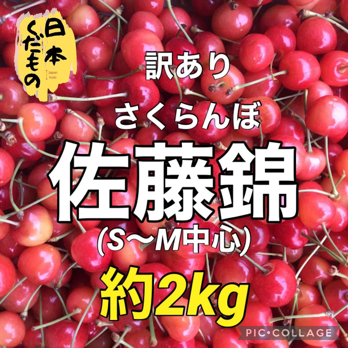 S～M粒中心 2kg 訳あり 佐藤錦 地域限定配送です - メルカリShops