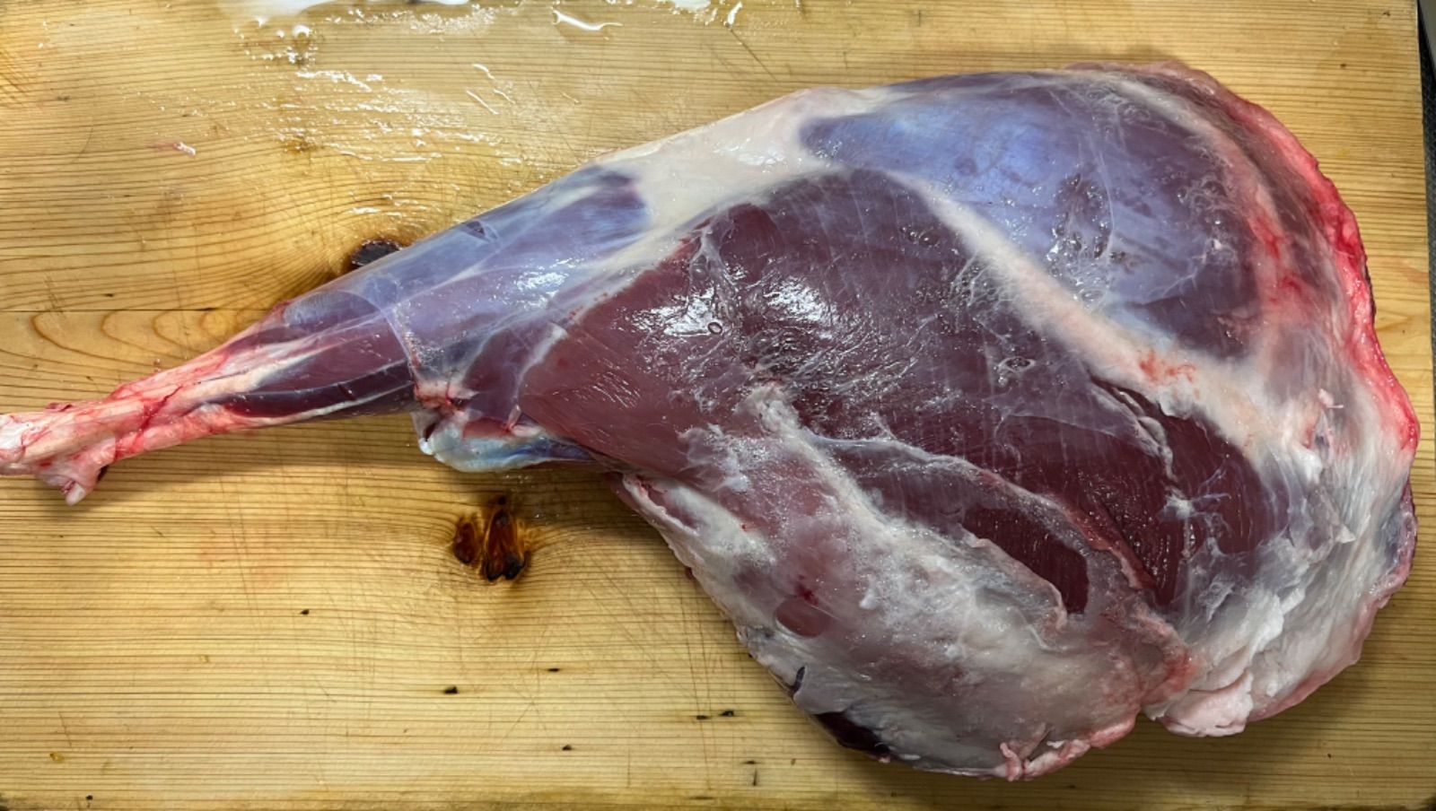 鹿肉 足骨 肩甲骨 おやつ 犬 小型犬 大型犬 ごはん 餌