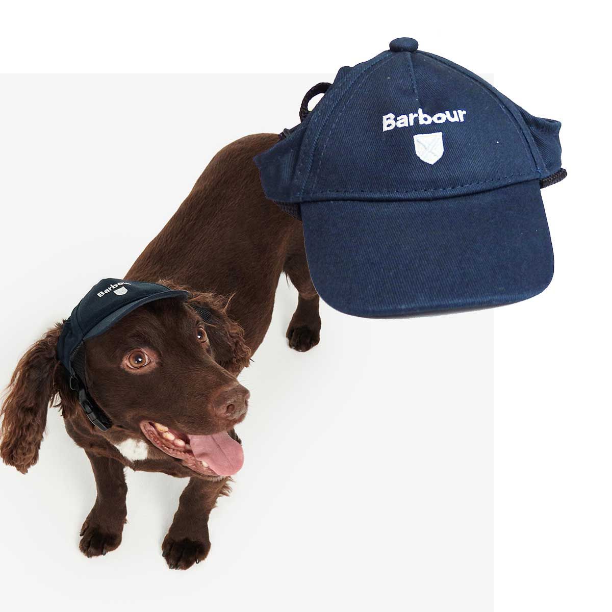 犬用帽子 Amazon | LESYPET 犬用帽子キャップ、調整可能日除帽子